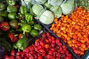 Finding a stable supply chain for ingredients